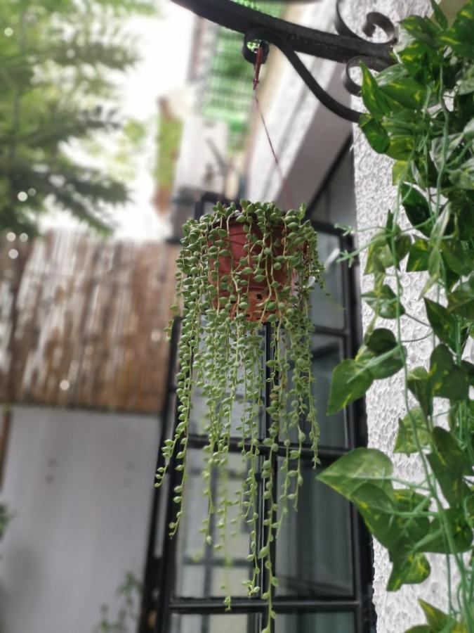 林人酒店 Jingan Экстерьер фото